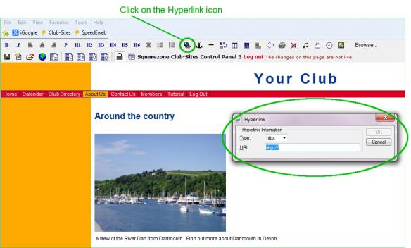Click on the hyperlink icon