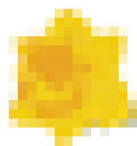 Daffodil