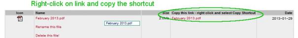 Copy the shortcut to your file