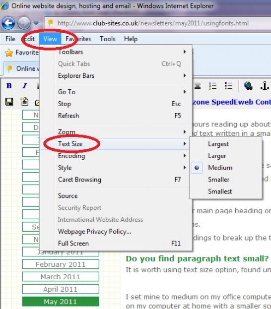 Internet Explorer\'s text size adjustment option