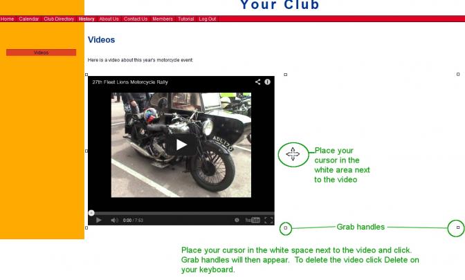 Place your cursor in the white area just to the right of the video and click