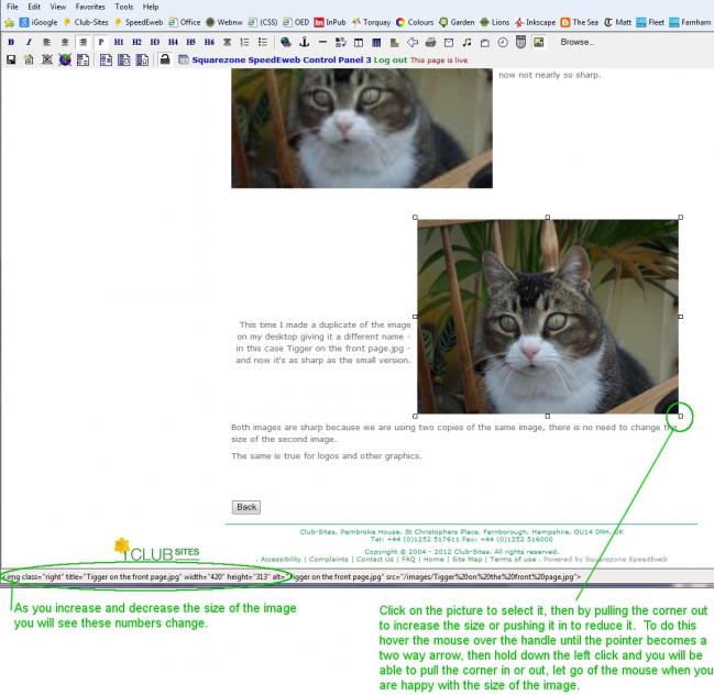 Enlarging and reducing the size of an image